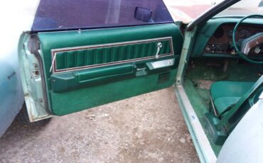 Ford-thunderbird-1979-green-9