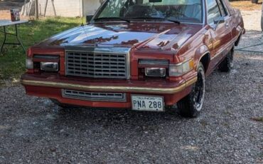 Ford-thunderbird-1980-orange-1