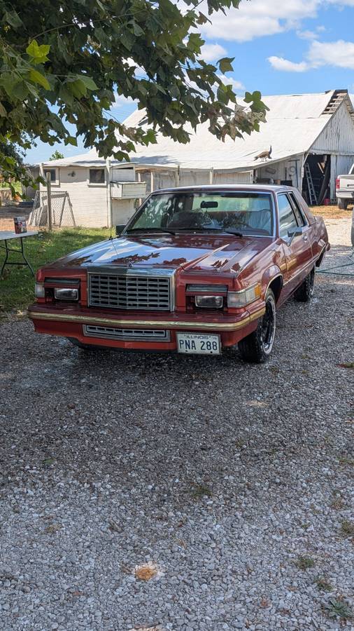 Ford-thunderbird-1980-orange-1