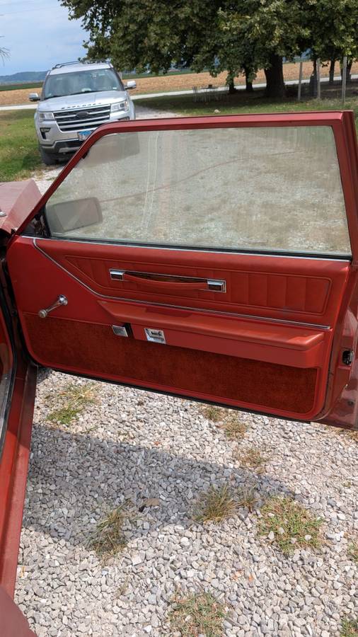 Ford-thunderbird-1980-orange-2