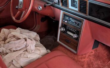 Ford-thunderbird-1980-orange-3