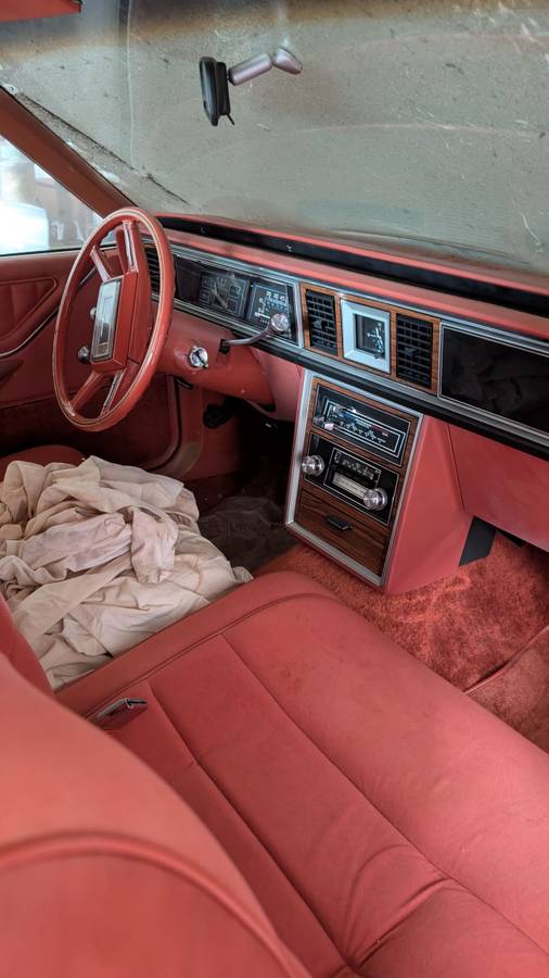 Ford-thunderbird-1980-orange-3