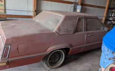 Ford-thunderbird-1980-orange-5