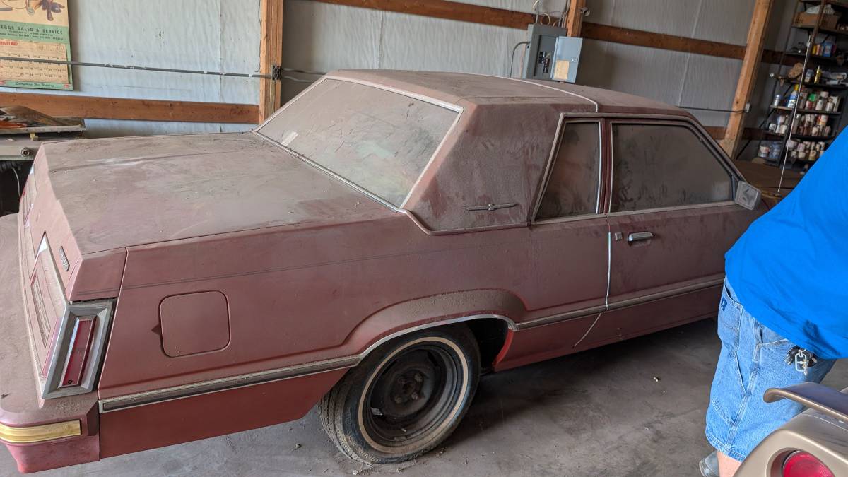 Ford-thunderbird-1980-orange-5