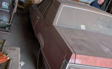 Ford-thunderbird-1980-orange-6