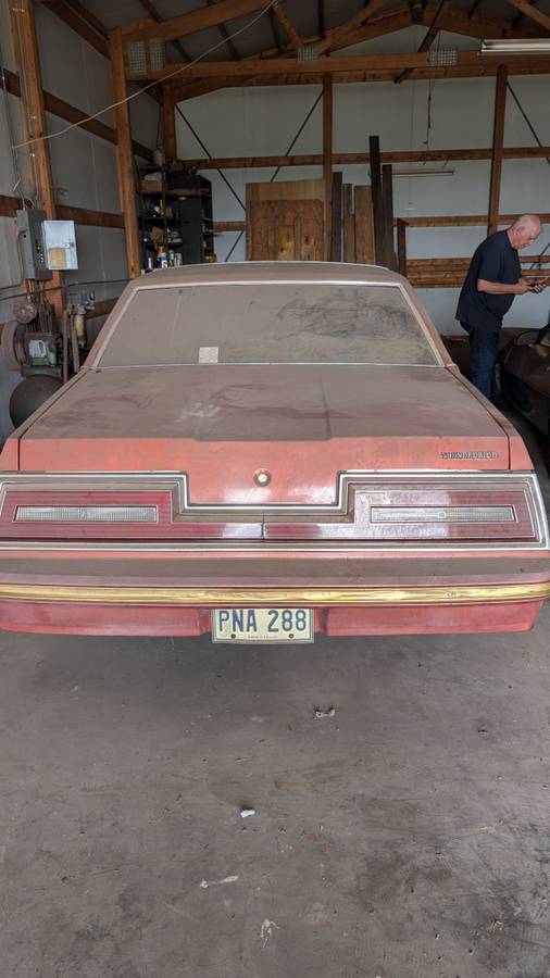 Ford-thunderbird-1980-orange-7
