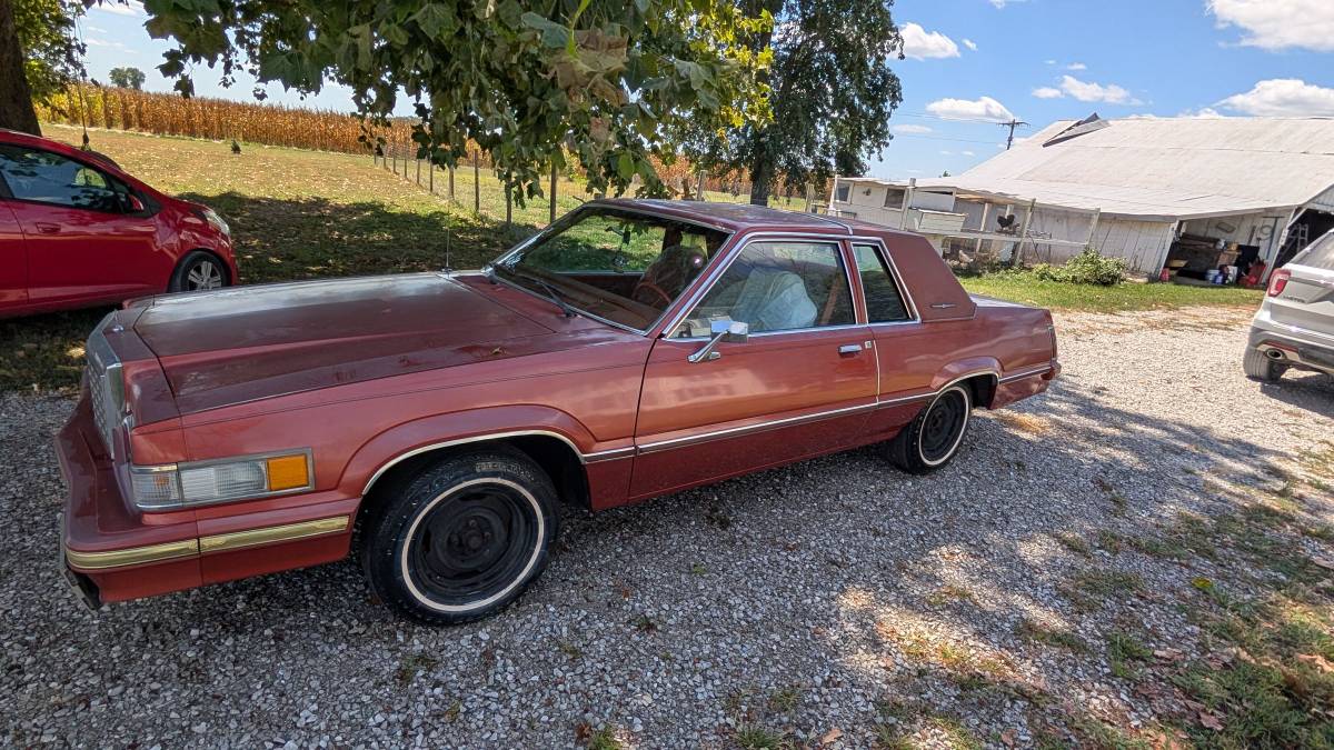 Ford-thunderbird-1980-orange