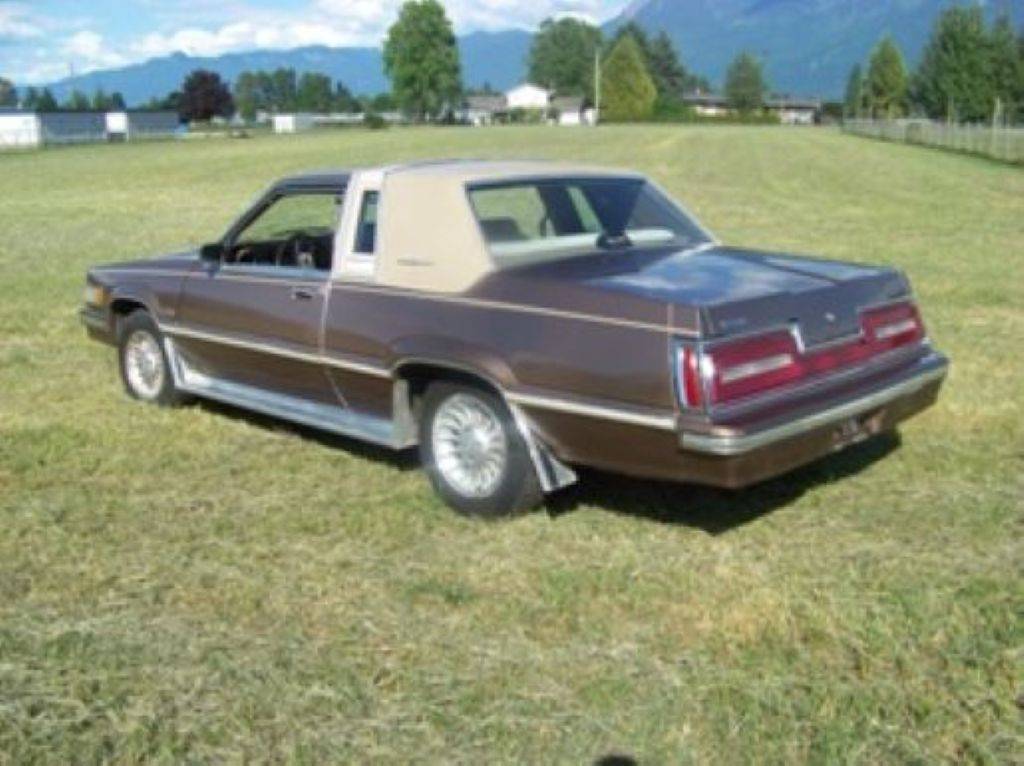 Ford-thunderbird-1981-brown-1