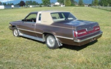Ford-thunderbird-1981-brown-7