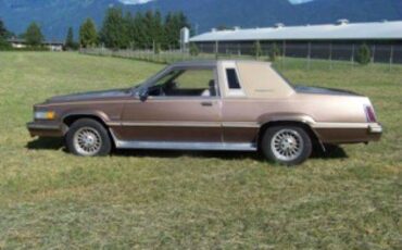 Ford-thunderbird-1981-brown-8