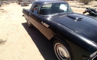 Ford-thunderbird-convertible-1955-2