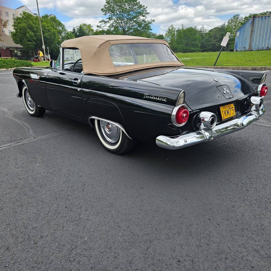 Ford-thunderbird-convertible-1955-black-20