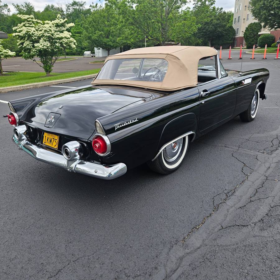 Ford-thunderbird-convertible-1955-black-23