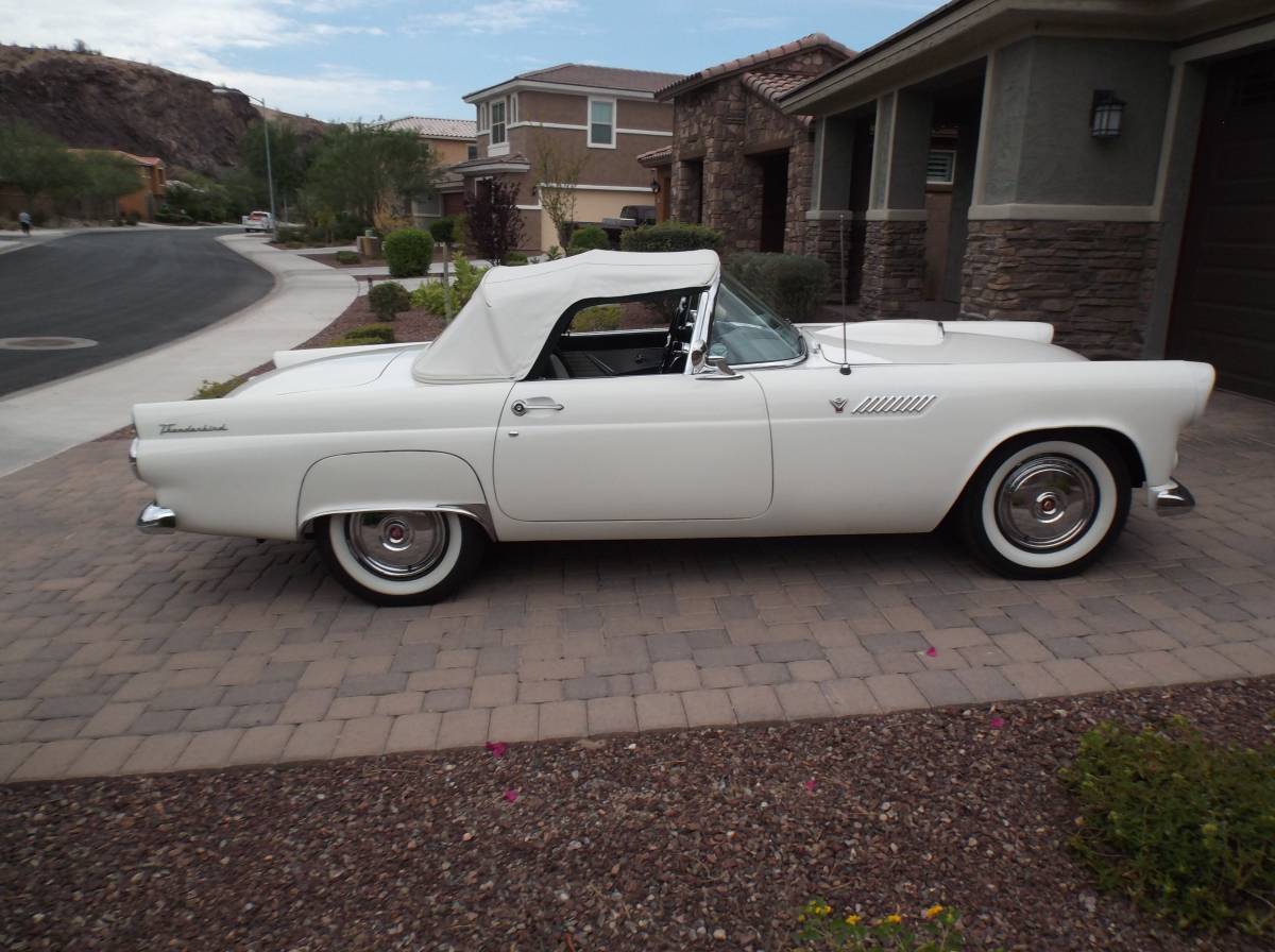 Ford-thunderbird-convertible-1955-white-10