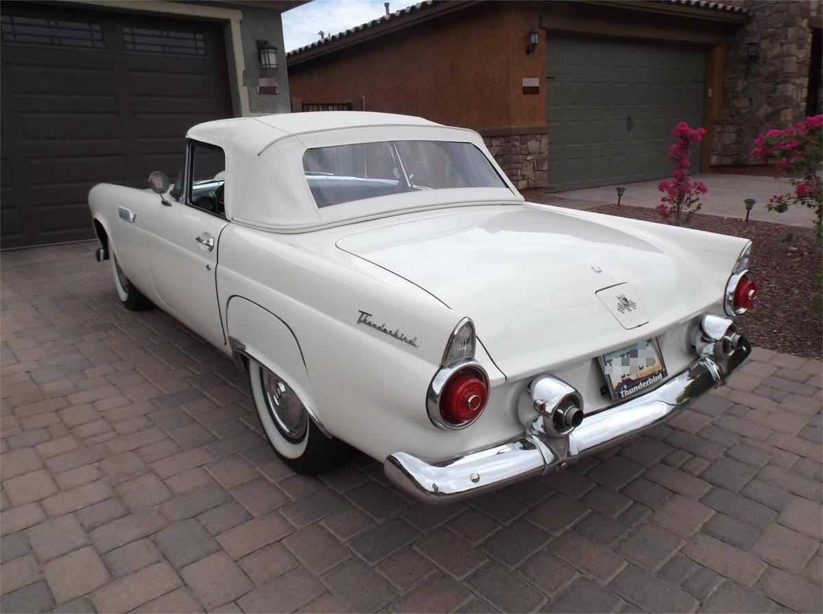 Ford-thunderbird-convertible-1955-white-13