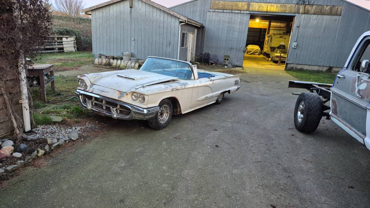 Ford-thunderbird-convertible-1959-white-11