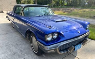 Ford-thunderbird-coupe-1959-blue-3