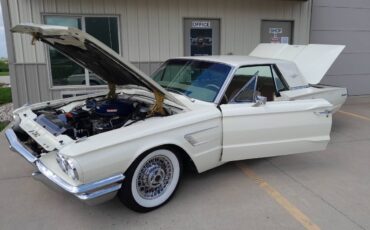 Ford-thunderbird-coupe-1965-14