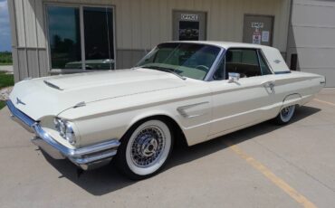 Ford-thunderbird-coupe-1965-15