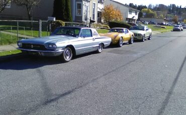Ford-thunderbird-landau-1966-blue-8