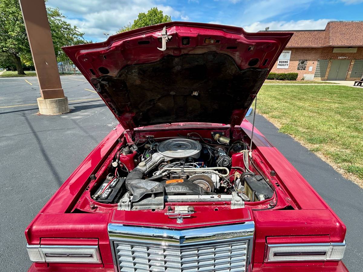Ford-thunderbird-landau-1981-7