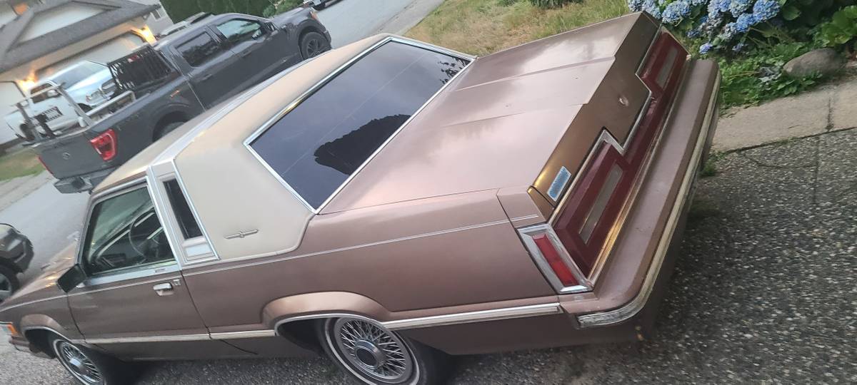 Ford-thunderbird-town-landau-1982-brown-2