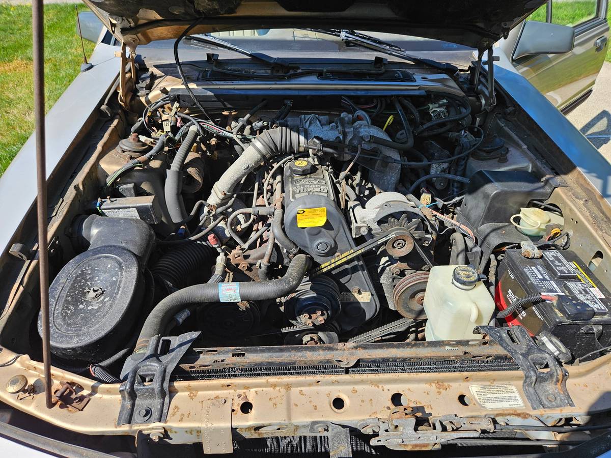 Ford-thunderbird-turbo-coupe-1986-10