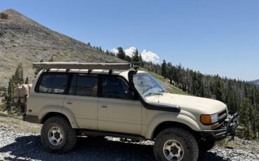 Fzj80-1994-custom-3