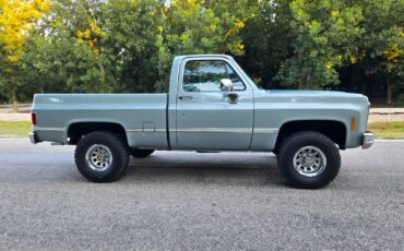 GMC-Other-1979-Standard-Cab-Pickup-5