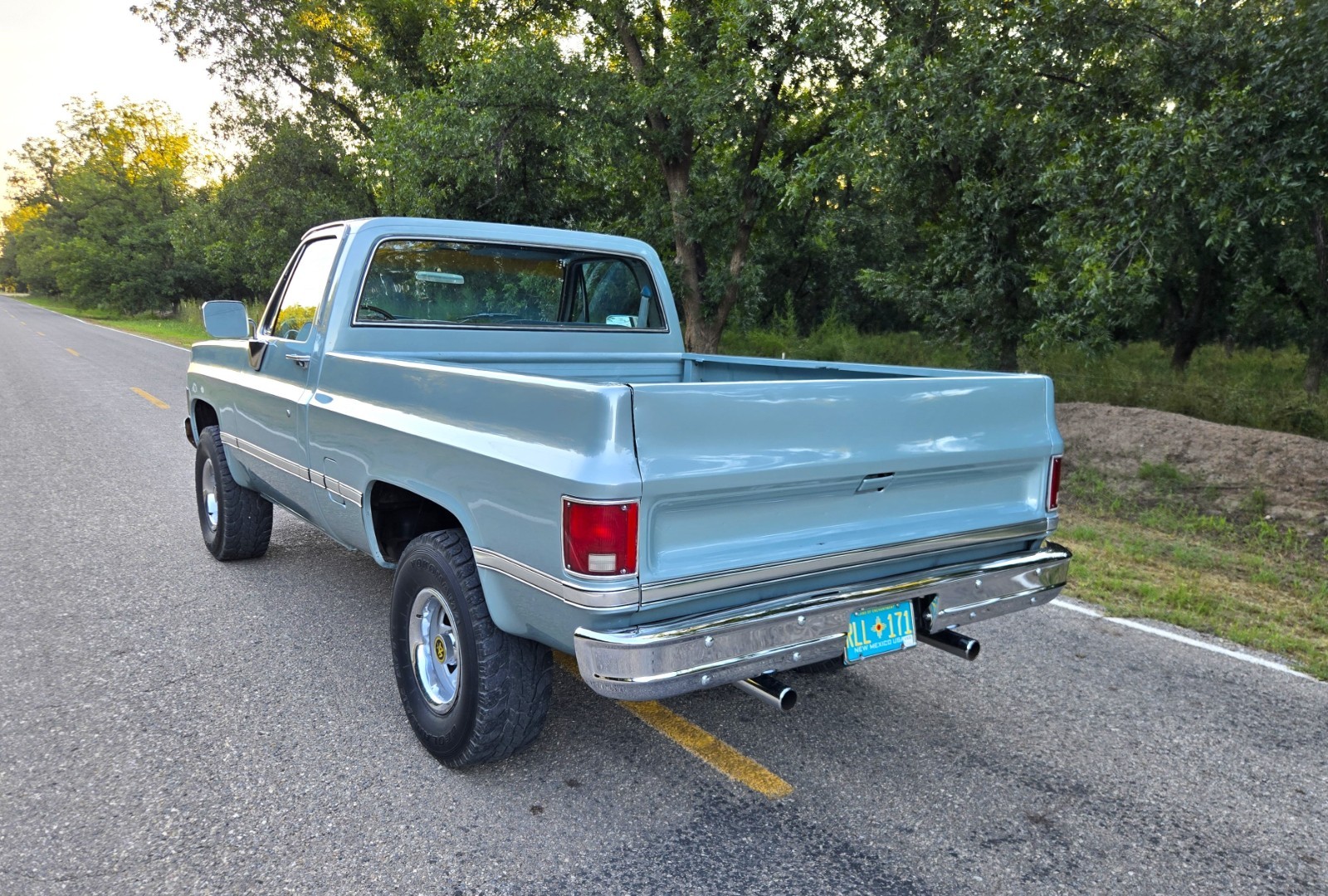 GMC-Other-1979-Standard-Cab-Pickup-9