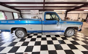 GMC-Sierra-1500-1975-6