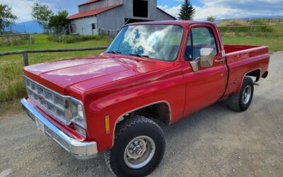 GMC Sierra 1500 1978 Standard Cab Pickup