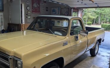 GMC-Sierra-2500-1976-Standard-Cab-Pickup-6
