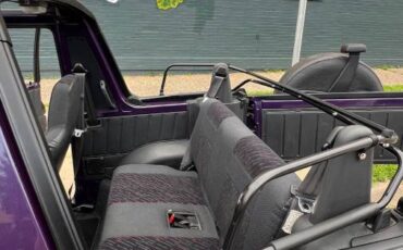 Geo-tracker-1995-purple-11