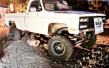 Gmc-1500-4x4-truck-1975-white-2