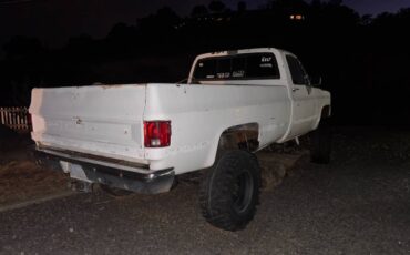 Gmc-1500-4x4-truck-1975-white-6