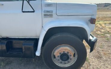 Gmc-1976-white-1