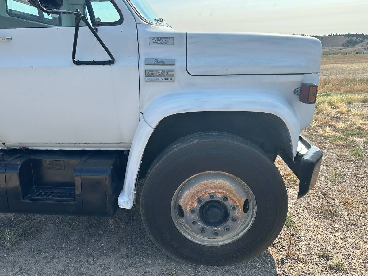 Gmc-1976-white-1