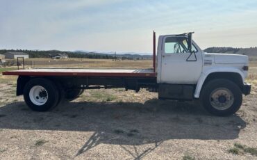 Gmc-1976-white