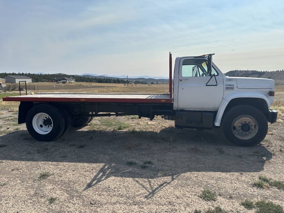 Gmc-1976-white