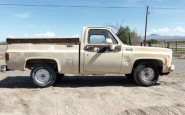 Gmc-1980-6