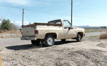Gmc-1980-7