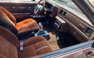 Gmc-1983-brown-2