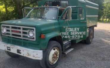 Gmc-700-diesel-1989-green-1