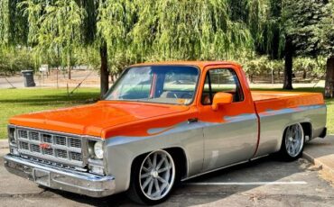 Gmc-C1500-1979-OrangeSilver-Brown-Cloth-11