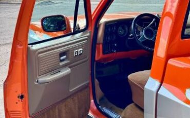 Gmc-C1500-1979-OrangeSilver-Brown-Cloth-3