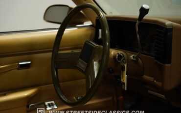 Gmc-Caballero-1987-Dark-Chestnut-Light-Saddle-12