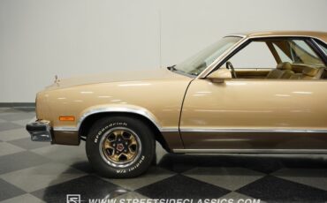 Gmc-Caballero-1987-Dark-Chestnut-Light-Saddle-33