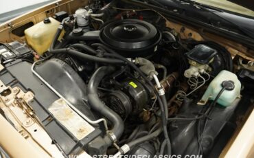 Gmc-Caballero-1987-Dark-Chestnut-Light-Saddle-42