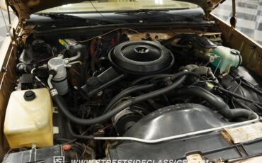Gmc-Caballero-1987-Dark-Chestnut-Light-Saddle-43